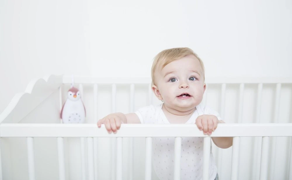 Zazu Zoe de Pinguin Grijs 3 in 1 Muziekdoosje ZA-ZOE-01 Zazu Zoe De Pinguin Grijs 3 In 1 Muziekdoosje ZA-ZOE-01 -babybenodigdheden 30685085644 974ee59458 o