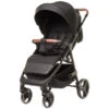 4Baby Stinger XXIII Black Wandelwagen -babybenodigdheden 4baby stinger xxiii black wandelwagen 1
