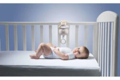 Chicco My Sweet Doudou Beer Muziekdoos 00009618000000 -babybenodigdheden chicco my sweet doudou beer muziekdoos 00009618000000 2 1920x1920