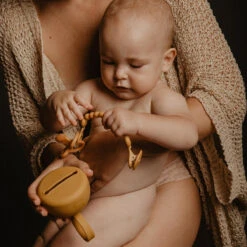 Suavinex Essence Mustard Silicone Speenhouder SXSEZ00081412 -babybenodigdheden colour essence soother case mango 3 3