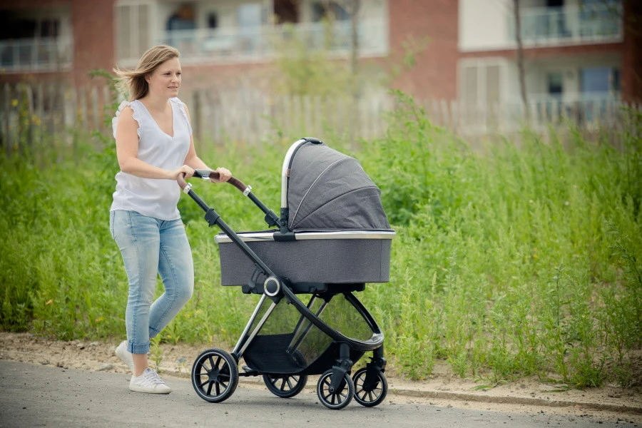 Ding Fenix Grey/Silver Kinderwagen DI-191703 Ding Fenix Grey/Silver Kinderwagen DI-191703 -babybenodigdheden