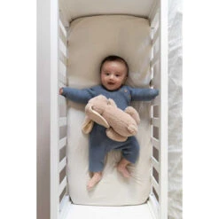 Doomoo Snoogy Biscuit Konijn Magnetronknuffel SY21 -babybenodigdheden doomoo snoogy biscuit konijn magnetronknuffel sy21 7