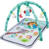 Eco Toys Animals Groen Speelkleed Met Muziek CH93141 -babybenodigdheden eco toys animals groen speelkleed met muziek ch93141 1