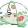 Eco Toys Kikker Activity Gym Speelkleed HC506649 -babybenodigdheden eco toys kikker activity gym speelkleed hc506649 1 1