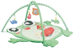 Eco Toys Kikker Activity Gym Speelkleed HC506649