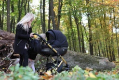 Baby Merc Faster 3 Black/Gold Limited Edition Kinderwagen Incl. Autostoel L143 -babybenodigdheden faster gold 1