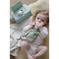 FunkyBox Mint Leave FB60 6 FunkyBox Mint Leave FB60 -babybenodigdheden funkybox mint leave fb60 .sfeer3