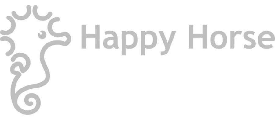 Happy Horse Big Dino Don 65 cm Knuffel 132862 Happy Horse Big Dino Don 65 Cm Knuffel 132862 -babybenodigdheden logo happy horse 11