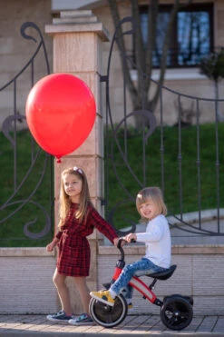 Lorelli Dallas Red Driewieler 1005050-004 -babybenodigdheden lorelli dallas driewieler 11