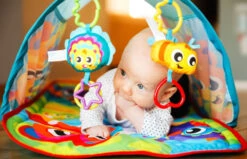 Playgro Honey Bee Bear Activity Tunnel Speelkleed P0186992 9 Playgro Honey Bee Bear Activity Tunnel Speelkleed P0186992 -babybenodigdheden playgro honey bee bear activity tunnel speelkleed p0186992 8