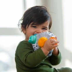 Sassy Bumpy Badger Educatieve Speelbal S80931 6 Sassy Bumpy Badger Educatieve Speelbal S80931 -babybenodigdheden sassy bumpy badger educatieve speelbal 1