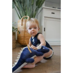 Tryco Draak Diego 38 Cm Knuffel TR-243331 10 Tryco Draak Diego 38 Cm Knuffel TR-243331 -babybenodigdheden tr 243331 cuddly toy dragon diego 06