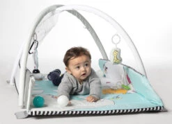 Tryco 5-in-1 Lovely Park Ball Play Activity Gym Speelkleed TR-140202 -babybenodigdheden tryco 5 in 1 lovely park ball play activity gym speelkleed tr 140202 14