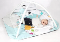 Tryco 5-in-1 Lovely Park Ball Play Activity Gym Speelkleed TR-140202 -babybenodigdheden tryco 5 in 1 lovely park ball play activity gym speelkleed tr 140202 16