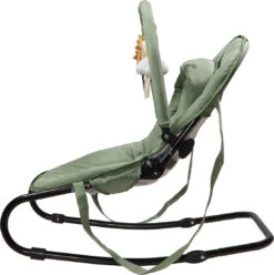 Tryco Lion Leo Groen Wipstoel TR-272703 -babybenodigdheden tryco lion leo green wipstoel tr 272703 3