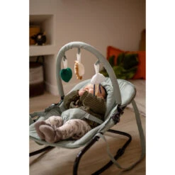 Tryco Lion Leo Groen Wipstoel TR-272703 -babybenodigdheden tryco lion leo groen wipstoel tr 272703 sfeer1