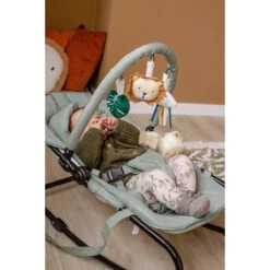 Tryco Lion Leo Groen Wipstoel TR-272703 -babybenodigdheden tryco lion leo groen wipstoel tr 272703 sfeer2