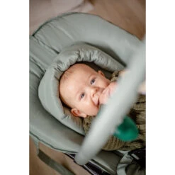 Tryco Lion Leo Groen Wipstoel TR-272703 -babybenodigdheden tryco lion leo groen wipstoel tr 272703 sfeer4